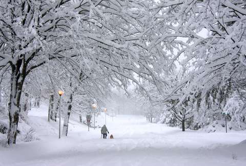 Snow
